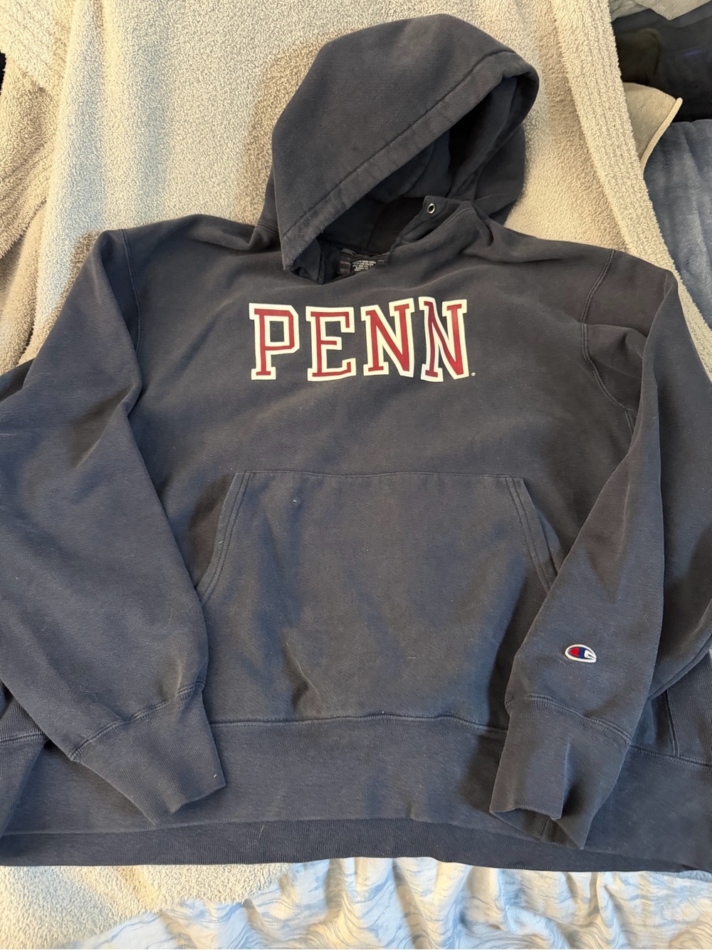 Vintage 90s Champion XL Penn Hooded Sweatshirt - Navy